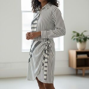 Striped Shirt Dress